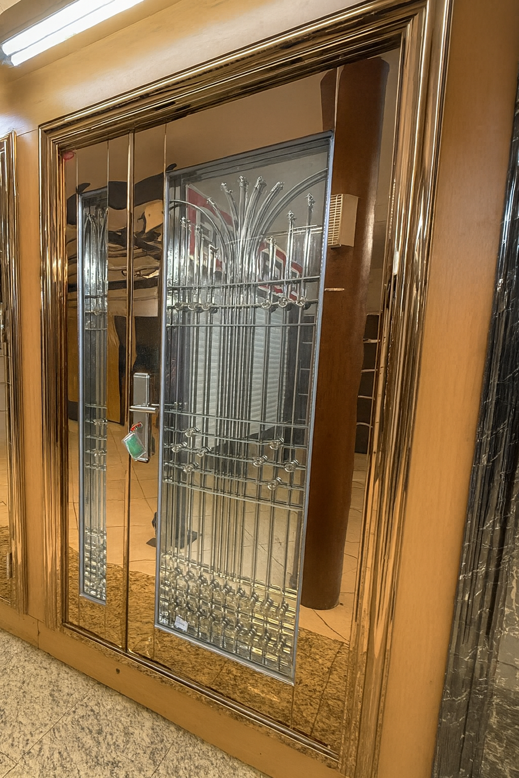 Gold Stainless Steel Security Door – Model A016-Single / Pivot / Double