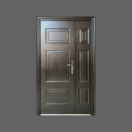 Econo Pivot Size Security Door