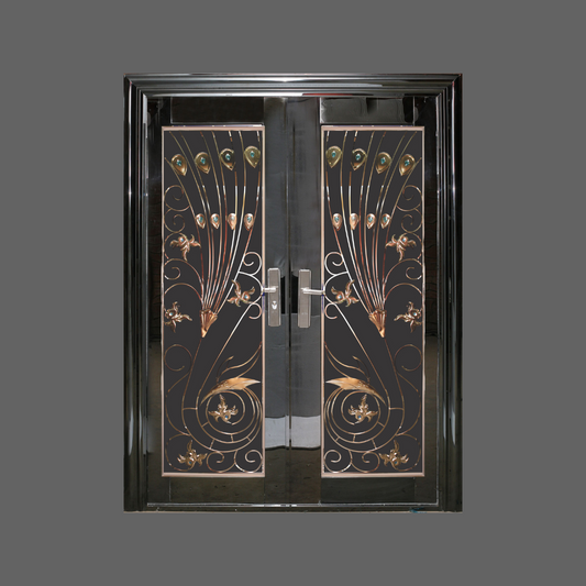 Black Stainless Steel Double Entrance Door