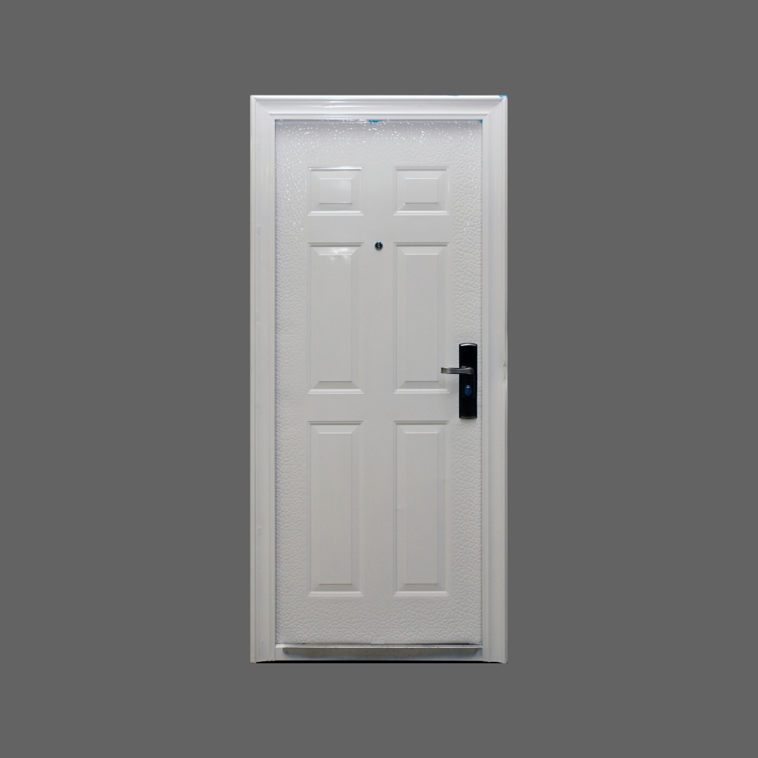 Single Econo Security Door